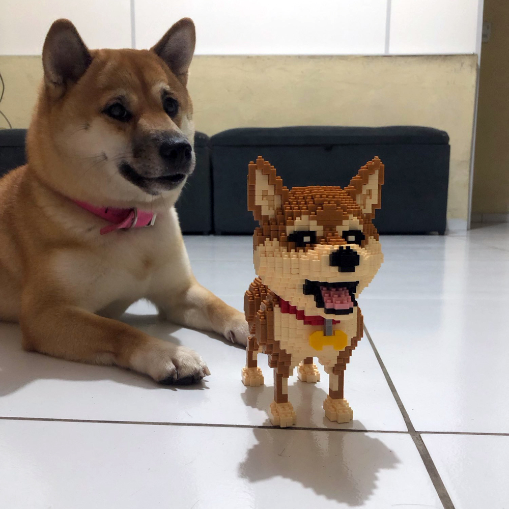 نموذج KNEW BUILT Shiba Inu Dog - مراجعة Kids Education And Recreation وسعره